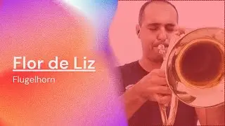 Flor de Lis - Djavan (flugelhorn)