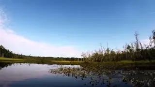 Potomac river fly fishing from my SUP