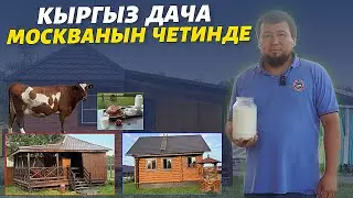 Домиктерде жыргап эс алыңыздар😍 Москвадагы #КЫРГЫЗДАЧА🔥 чакан фермасы менен келтирип салыптыр🔥🔥