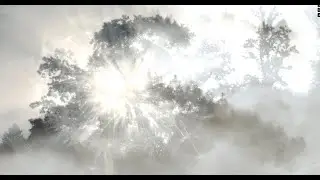 Remnant - Sarah Fimm (Feat. Sean Bradley)