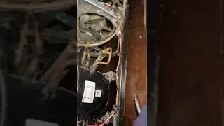 Fridge Not Cooling