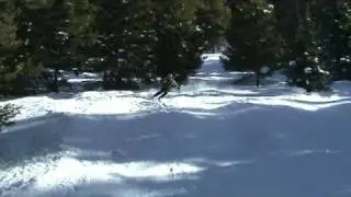 Rick in Royal Elk Glade