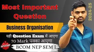 Most Important Question bcom nep || lucknow university business organisation || BCOM SEM I||LUUPDATE