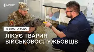 Ветеринар з Криму лікує тварин військовослужбовців