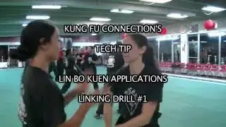 LIN BO KUEN DRILLS