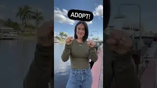 ADOPT | ASL Glossary | The ASL Shop