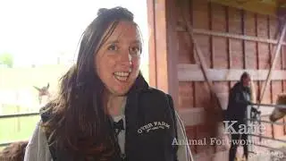 Down on the Farm -  Part 15