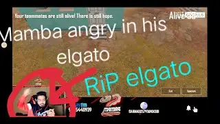 Mamba elgato Rip 😭😭Mamba angry in elgato and toxic hatters and ||Mamba is right