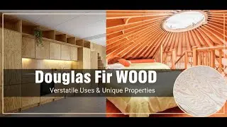 Douglas Fir Wood - The Versatile Softwood