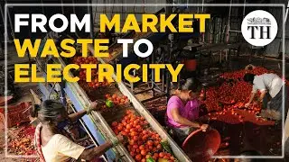 From market waste to electricity