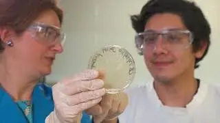 Study Medical Laboratory Science at CDU