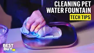 Cleaning the PETLIBRO Dockstream App Monitoring Pet Water Fountain &ndash; Tech Tips from Best Buy