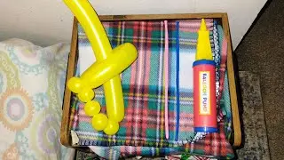 Colorful Pirate Sword Balloons Pump Up and Popping Sounds 🏴&zwj;☠💥🎈 #balloon