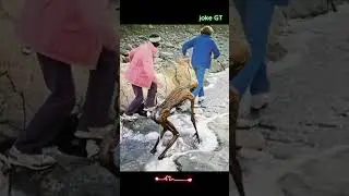 The Iceman's Mummy Came Back to Life