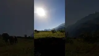 Красота #vlog #mountains #adventure #nature #russia #hiking #travel #beautiful #road #horses #shorts