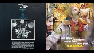 - N A D M A - UNO ZINGARO DI ATLANTE CON UN FIORE A NEW YORK  - ( - RCA DPSL 10579 - apr 1973 - ) -