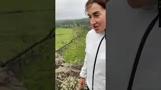 гора Волчиха. Вечерняя пробежка.