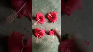 A,b,c,d,#viral #new #education