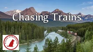 Chasing Trains at Morant's Curve #landscapephotography #trainspotting #lakelouise