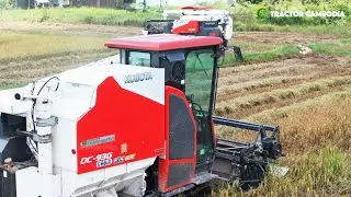 Kubota DC-93 Cabin Rice Harvesting Machine In Cambodia | New Combine Harvester 2021 Skills Woking