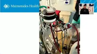 Experience with a new Oxygenator for ECLS   The Maimonides Experience