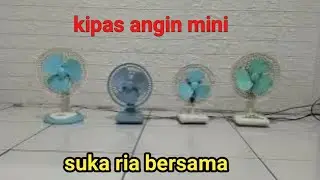 mini fans like to have fun together