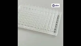 How is a PCR Test Performed? A Step-by-Step Guide