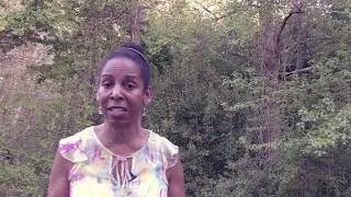 Root Cause To Disease and Illness
