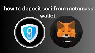 how to deposit scai token from metamask wallet tutorial