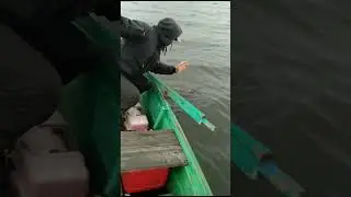 Вот это поворот!