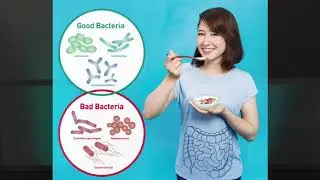 Gut Health- LISTEN TO YOUR GUT Dr. Terri DeNeui, DNP