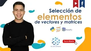 Cómo realizar selección de elementos de vectores y matrices en Numpy
