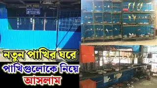 নতুন পাখির ঘরে পাখিগুলোকে নিয়ে আসলাম || পাখির খামার রংপুর || Birds of village