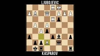 Ljubojevic Kasparov Belgrade, 1989