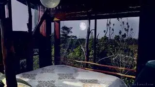 Night in a Treehouse ASMR Ambience