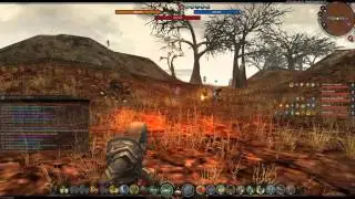 Darkfall: Izkand siege - Emir the late.
