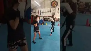 STAR KICKBOXING GRAVESEND HOME OF CHAMPIONS