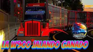 LA W900 JALANDO GANADO FULL JAULAS GANANDERA 