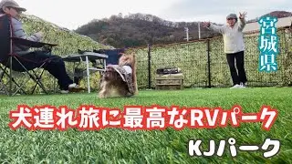 【宮城】犬連れに最高なRVパーク | KJパーク | ドックラン・ドックカフェ・トリミング  #181