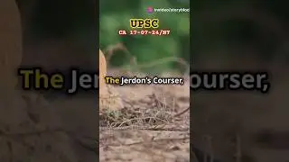 Jerdon&rsquo;s Courser: The Elusive Bird of India