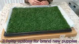 Unboxing PetMaker Artificial Grass Bathroom Mat for Puppies and potty options for new puppies
