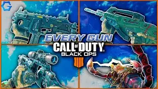 EVERY GUN in Black Ops 4 (Redux)