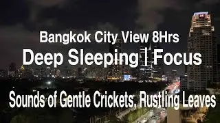 8 Hours Deep Sleeping 🌙 Sounds of Gentle Crickets, Rustling Leaves