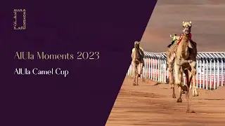 AlUla Camel Cup