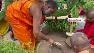  ಗುರುಪೂರ್ಣಿಮಾ ನಿಮಿತ್ತ ಮಂತ್ರಾಯದಲ್ಲಿ ಮೃತ್ತಿಕಾ ಸಂಗ್ರಹಣೋತ್ಸವ 🙏🏻❤️ #mantralaya #raghavendraswamy #srsmutt