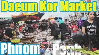 The Biggest Fresh Market in Phnom Penh, Phsar Daeum Kor, Cambodia - Walking Tour