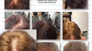 Shaker hair Amazon.com