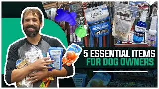 The 5 Most Essential Dog Items In 2021!