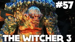 The Witcher 3 FR | Gameplay - Episode 57 : Troll de Glace ( PS4 )