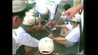 Amazing Race Style Team Building